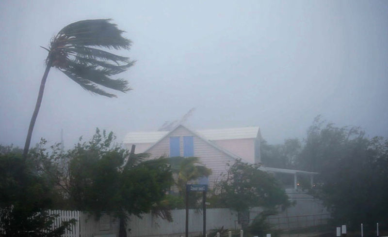 A view of winds from a hurricane showing palm trees blowing